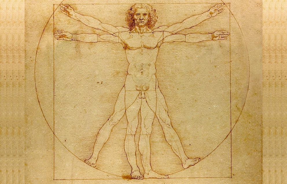 "האדם הוויטרובי", רישום מאת לאונרדו דה וינצ'י   מקור: ויקיפדיה