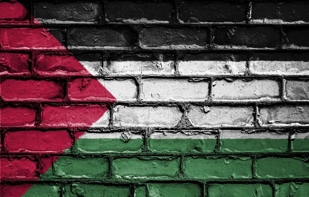 דגל פלסטין בתצוגת לבנים   מקור: פיקסביי (דיוויד פטרסון)