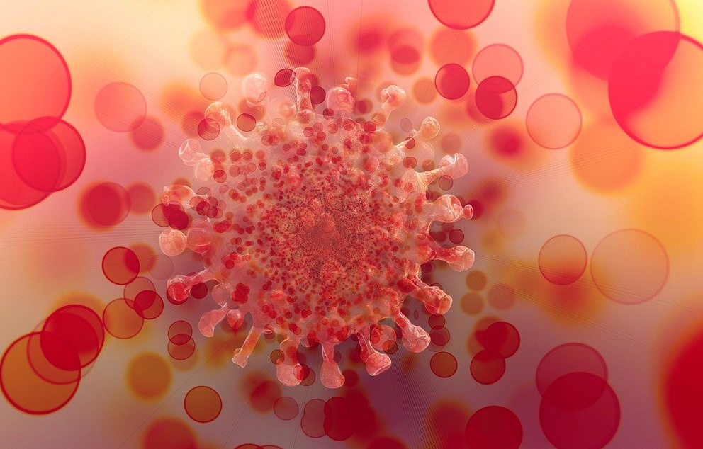 וירוס מחלת הקורונה, אילוסטרציה   מקור: פיקסביי (ג'רד אלטמן)