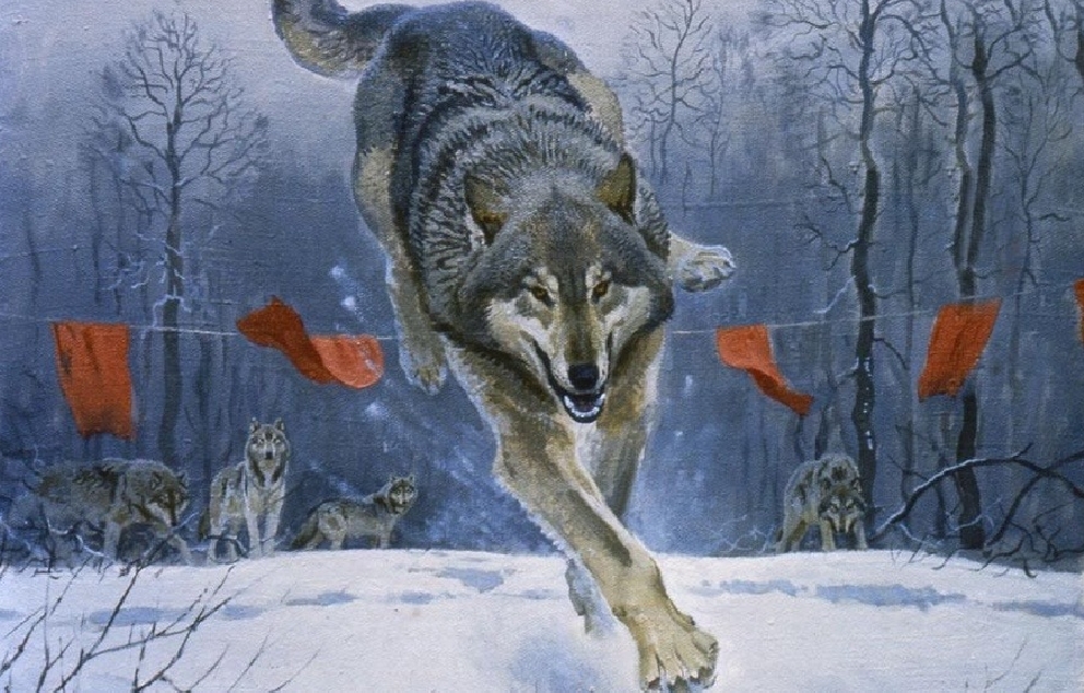 Wolf Hunt   Source: fb.ru